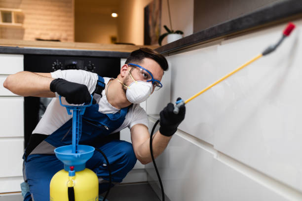 Best Rat Extermination Near Me  in Du Quoin, IL