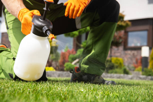 Best Emergency Pest Control  in Du Quoin, IL
