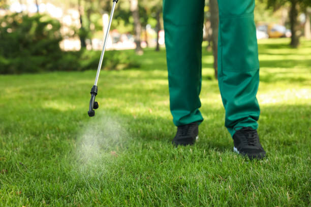 Best Bed Bug Extermination  in Du Quoin, IL