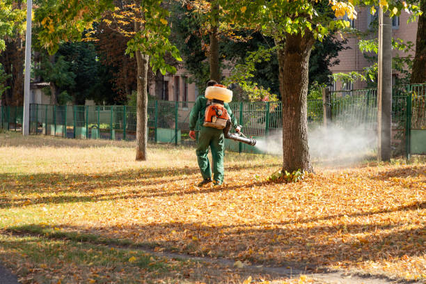 Best Best Pest Control Companies  in Du Quoin, IL