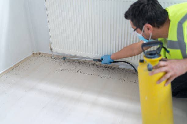 Best Pest Inspection Near Me  in Du Quoin, IL
