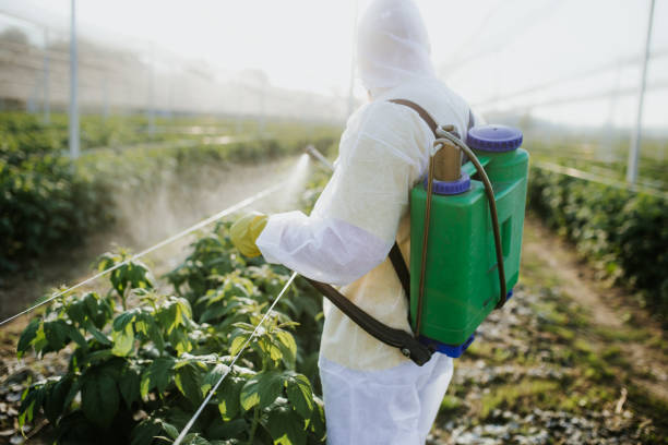 Best Commercial Pest Control Services  in Du Quoin, IL